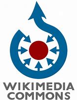 Image result for Wikipedia Transparent Background