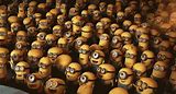 Image result for Minion Act Your Age Image
