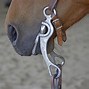 Image result for Western Horse Bits Types