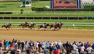Image result for New York Horse Racing