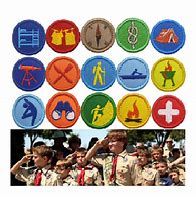 Image result for Boy Scouts of America Logo Patch