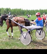 Image result for Horse Racing Car