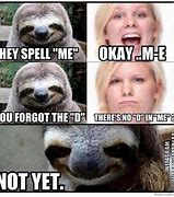 Image result for Sloth Meme HR Joke
