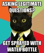 Image result for Any Questions Meme Cat