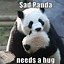 Image result for South Park Sad Panda Meme
