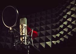 Image result for Best Recording Studio Microphone