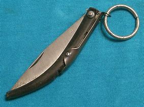 Image result for Small Pocket Knife with Clasp and Chain