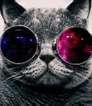 Image result for Galaxy Cat with Lasers