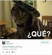 Image result for Mexican Cat Meme