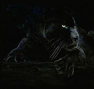 Image result for Animated Panther