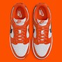 Image result for Nike Dunk Shoe