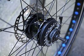 Image result for Shimano Alfine 12-Speed
