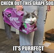 Image result for Soda Cat Meme