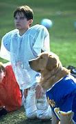 Image result for Air Bud DVD