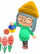 Image result for Animal Crossing New Horizons Guy