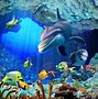 Image result for Underwater Sea Life Art