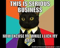 Image result for Business Cat Meme