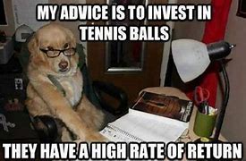 Image result for Business Dog Meme