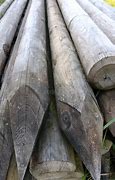 Image result for Big Sharp Stick