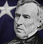 Image result for co_oznacza_zachary_taylor