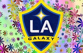 Image result for Lady Galaxy Soccer Team Logo