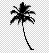 Image result for Free Palm Tree Clip Art Black and White