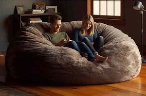 Image result for Expensive Bean Bag