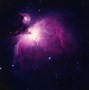 Image result for Ledger David Orion's Nebula