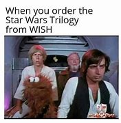 Image result for When You Order From Wish Meme