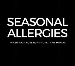 Image result for Allergies MEME Funny