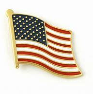 Image result for USA Flag Pin