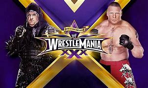 Image result for WWE Undertaker vs Brock Lesnar