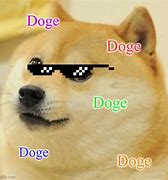 Image result for Funny Doge Meme