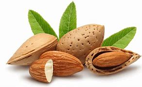 Image result for almendrate