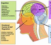 Image result for Difference Between Brain and Mind