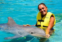 Image result for Dolphinaris Cozumel