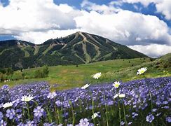 Image result for Sun Valley Idaho Weather