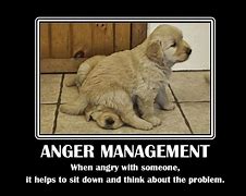 Image result for Anger Funny