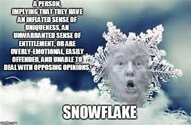 Image result for Melting Snowflake Meme