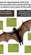 Image result for Bat Species List