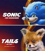 Image result for Sonic the Hog Hedge Meme