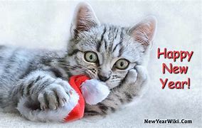 Image result for Cat Wishing Happy New Year