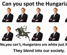 Image result for Magyar Meme