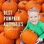 Image result for Preschool Halloween Pumpkin