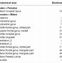 Image result for Gender Difference and Regional Brain Differences