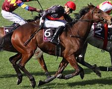 Image result for Horse Racing in South Africa