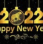 Image result for New Year's Day around the World