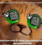 Image result for Xbox Game Pass Meme