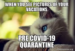 Image result for Vacation Cat Meme
