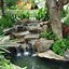 Image result for Back Yard Waterfalls Ideas